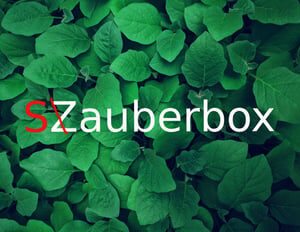 SƵauberbox